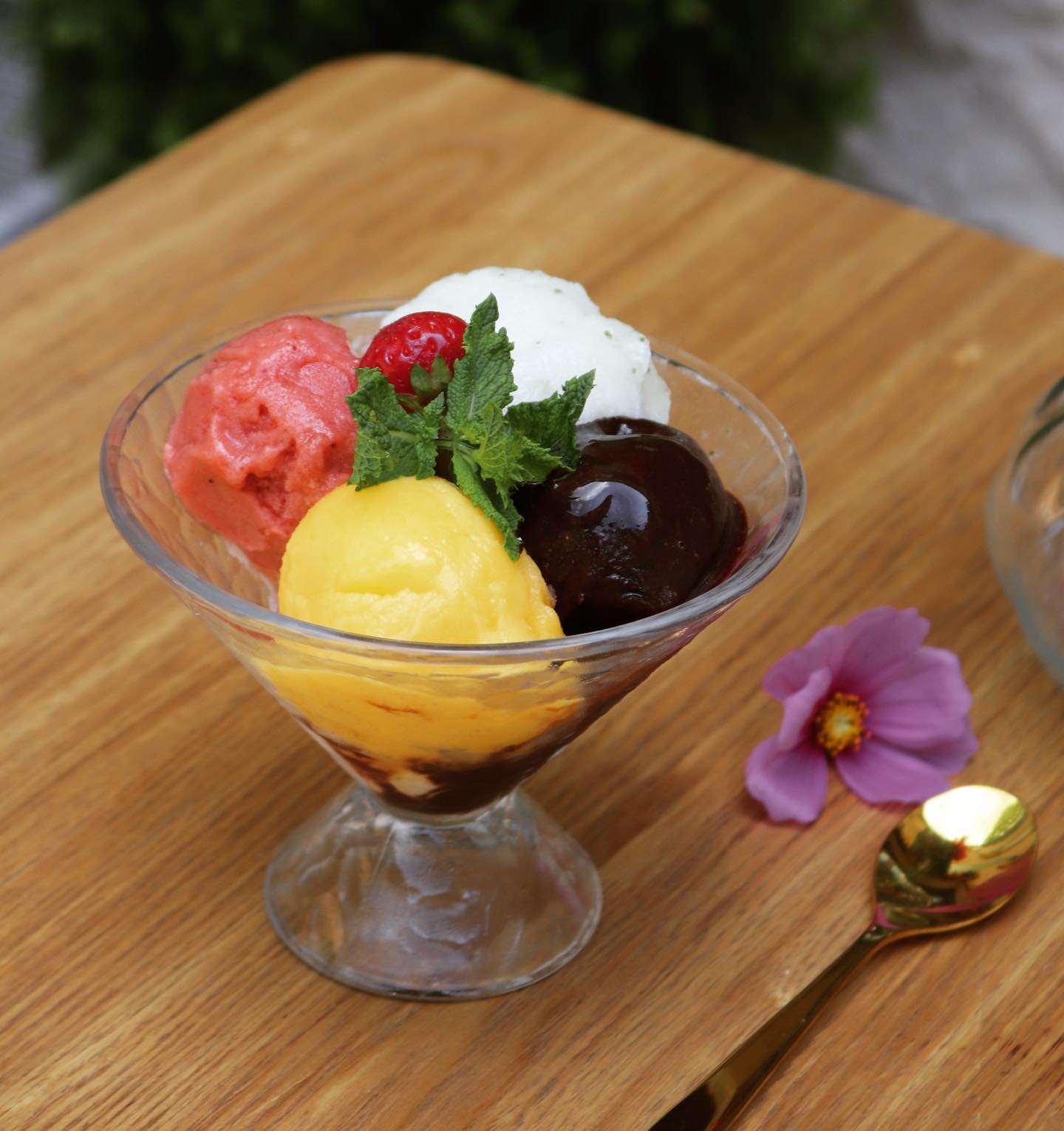 Coupe de glaces artisanales